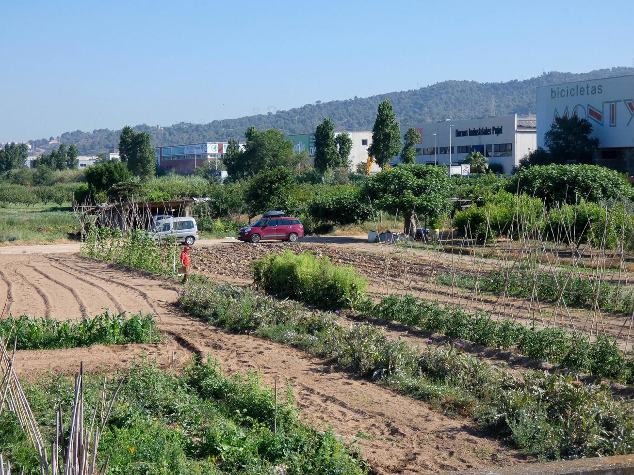 giardini urbani molto vicini alla città di barcellona nella regione del baix llobregat. foto