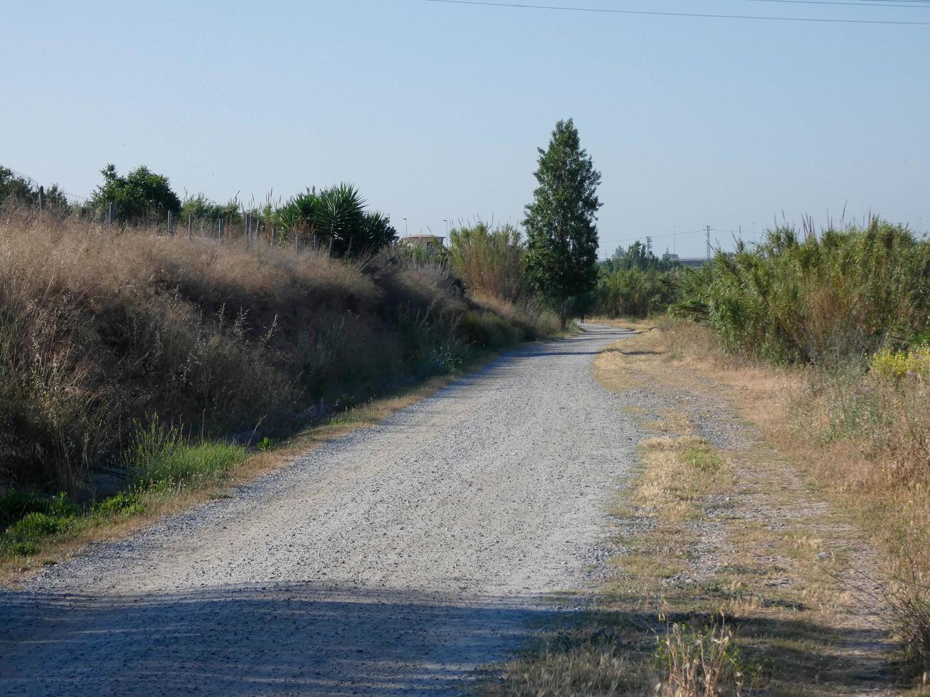 strada sterrata senza persone, di terra chiara foto