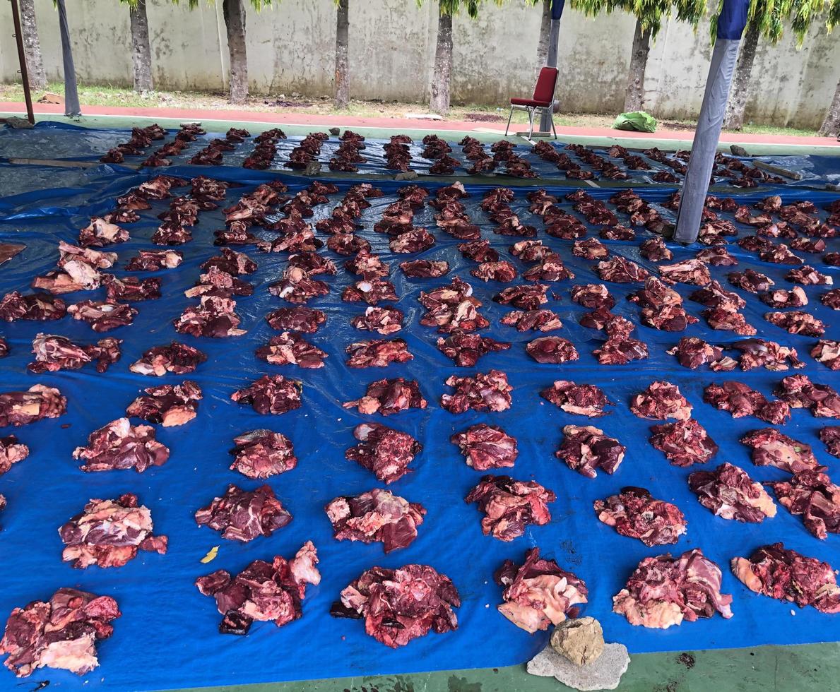 distribuzione di carne animale sacrificale alla celebrazione dell'eid al-adha foto