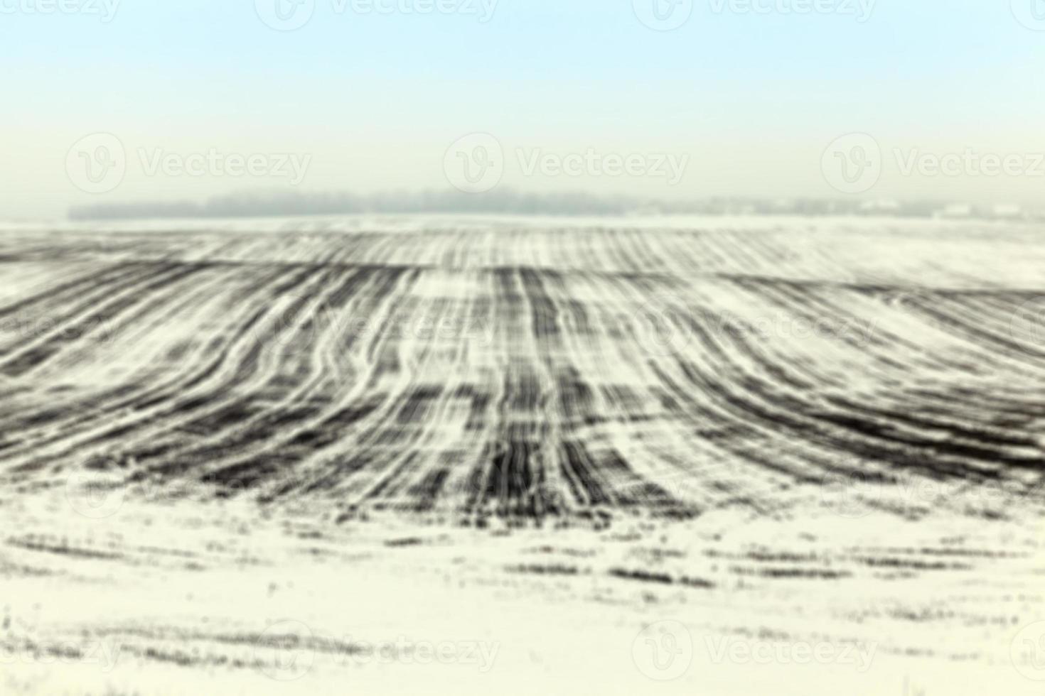 campo agricolo in inverno foto