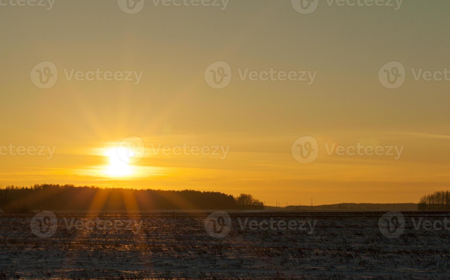 terra sotto la neve foto