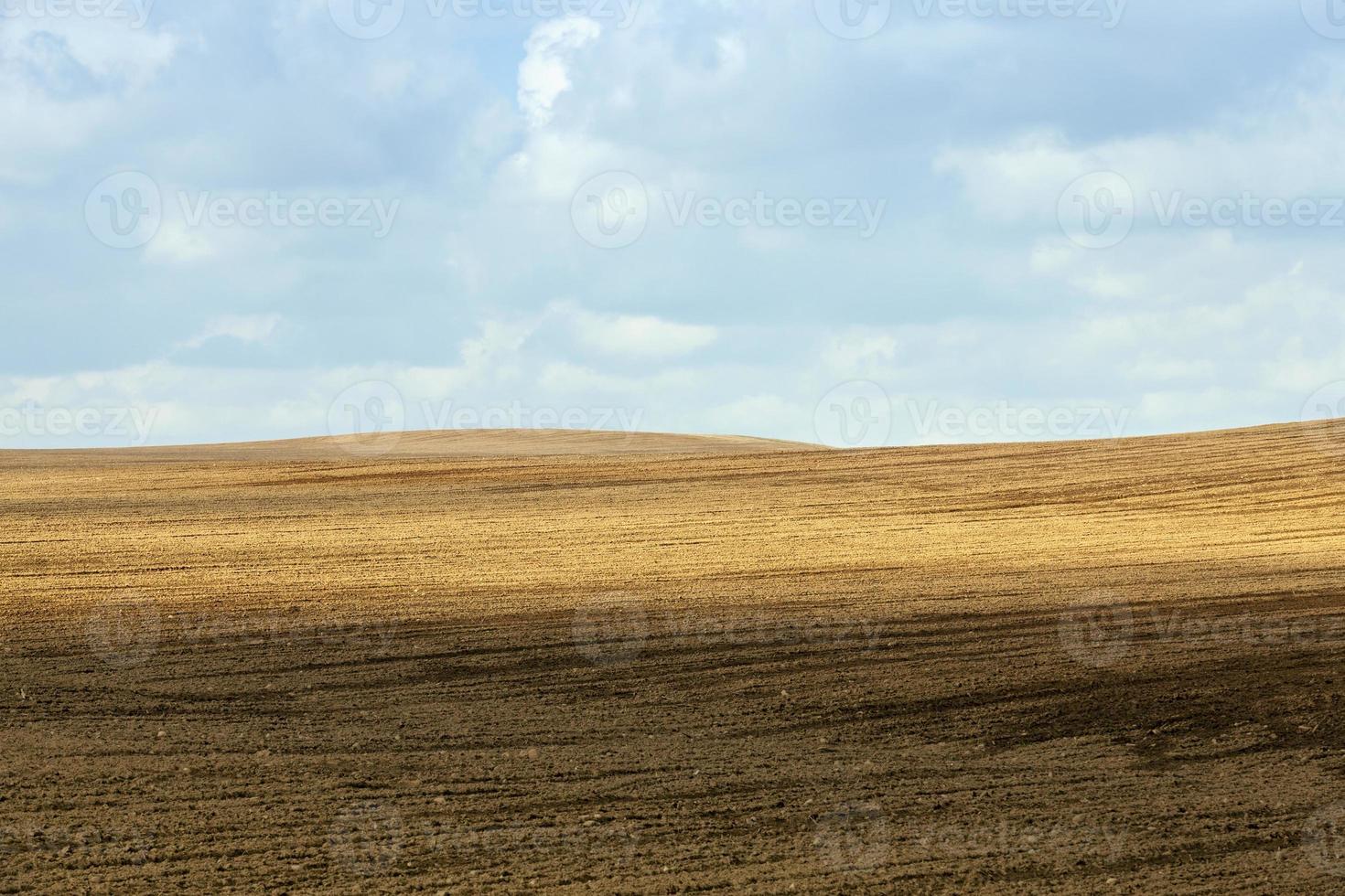 campo arato, primo piano foto