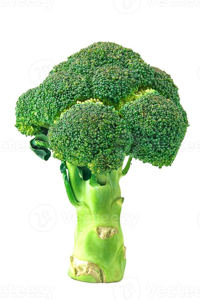 broccoli su un tracciato di ritaglio di sfondo isolato foto