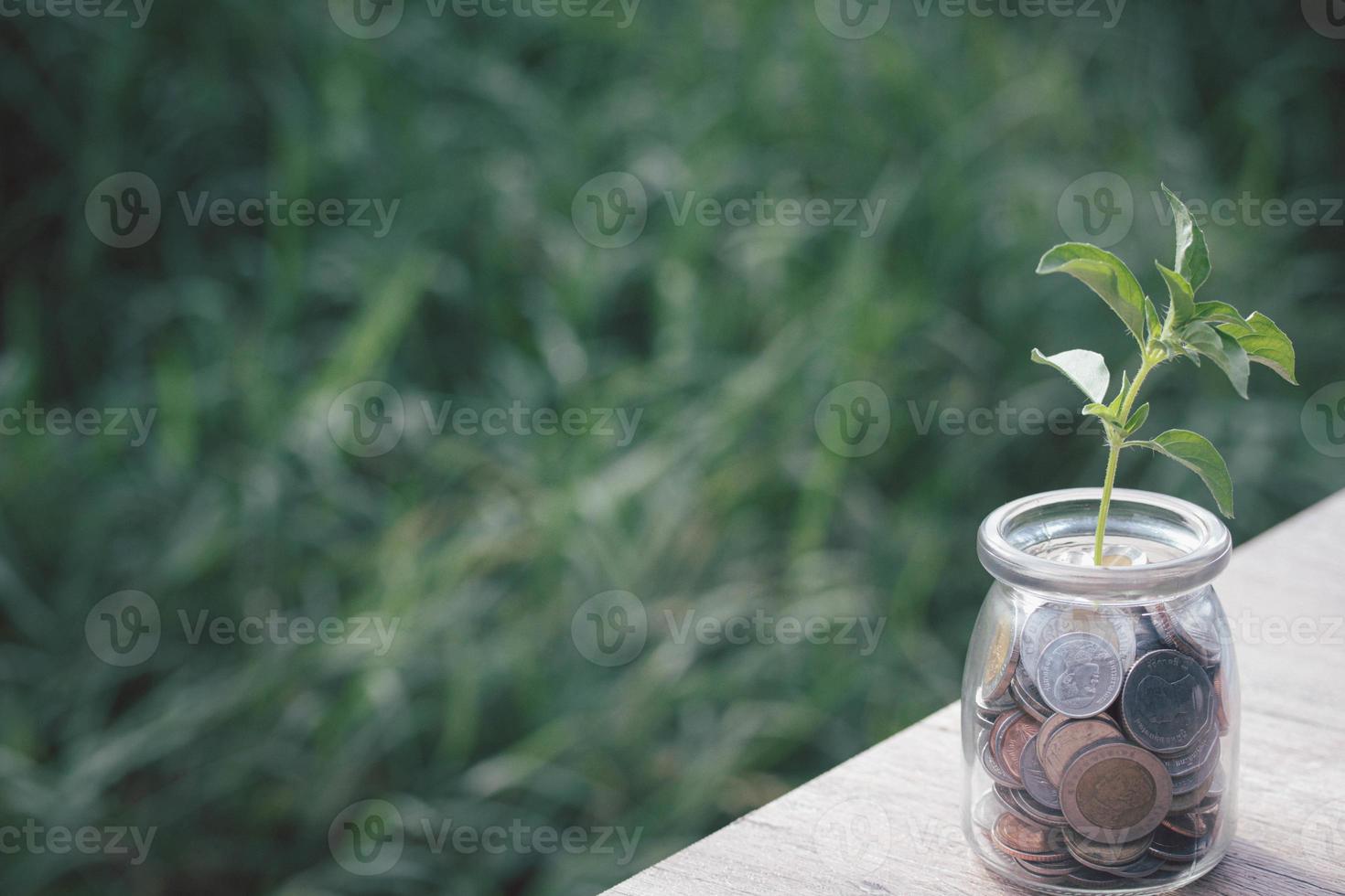 crescita delle piante in monete. idee di risparmio per gli investimenti. foto