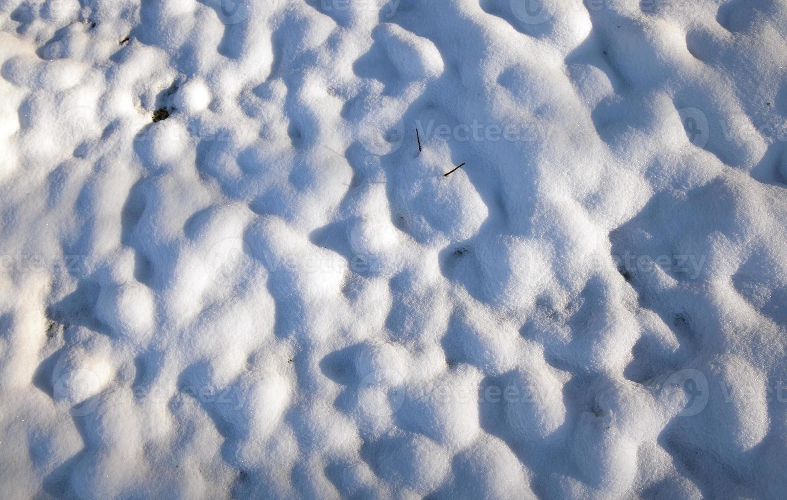campo coperto di neve foto