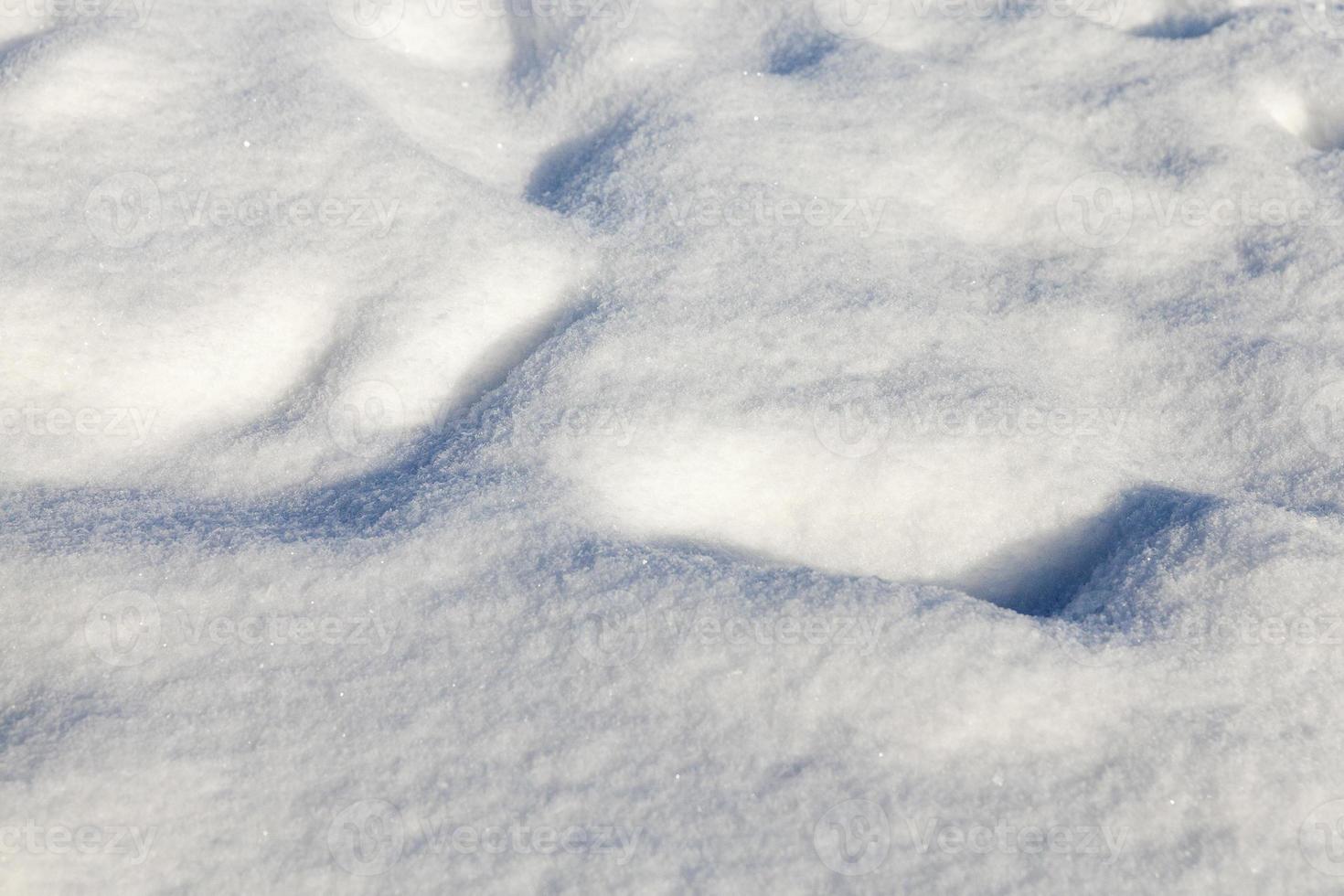 neve per terra foto