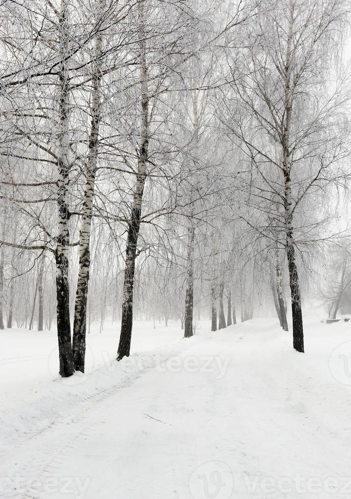 la strada d'inverno foto