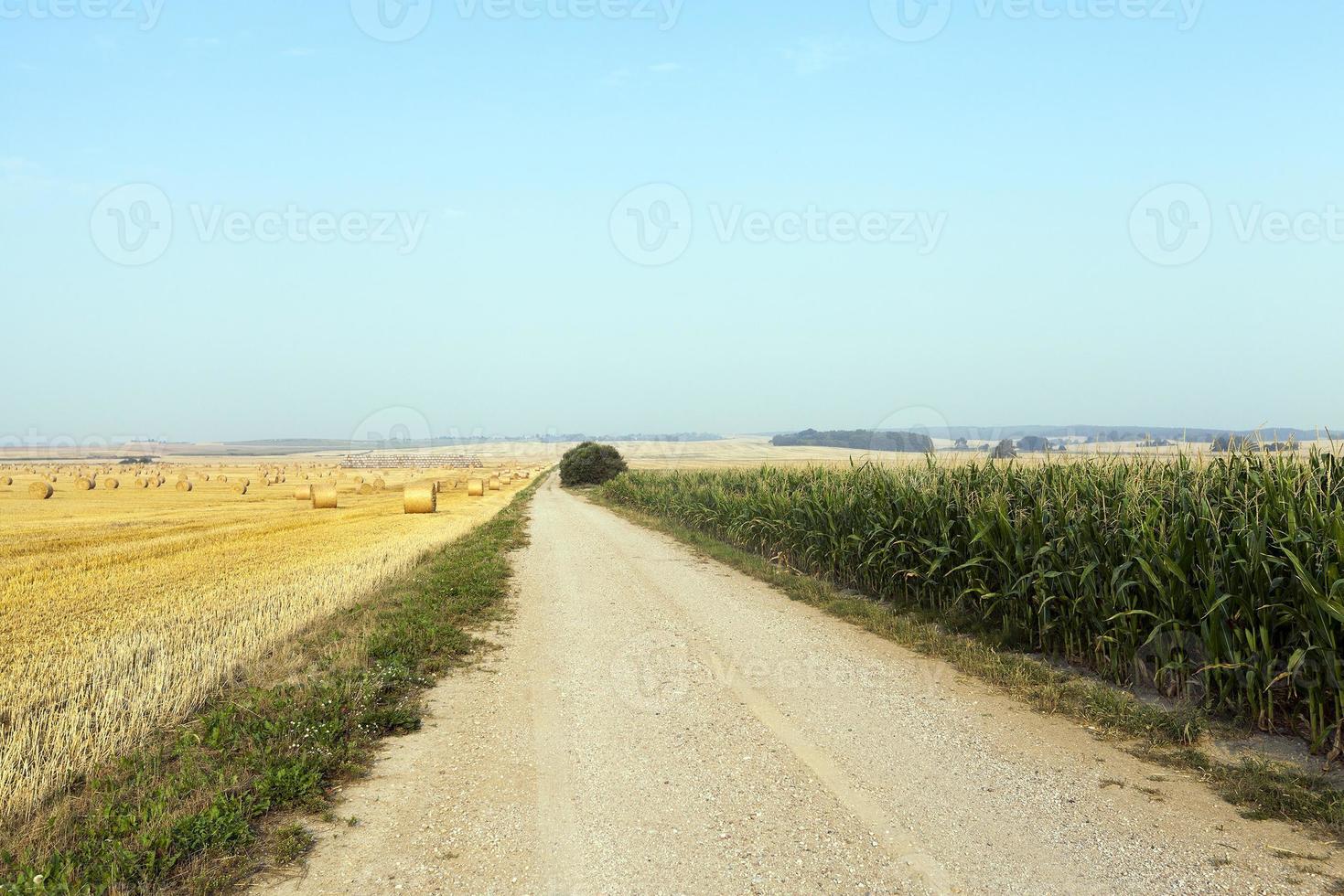 strada in campagna foto