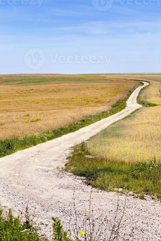 strada di campagna, campo foto