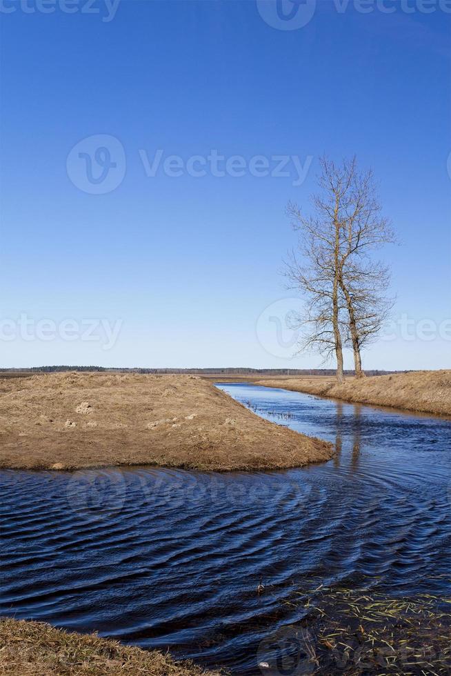 piccolo fiume nel campo foto