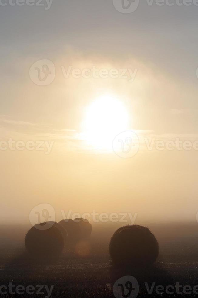 nebbia leggera, mattina foto