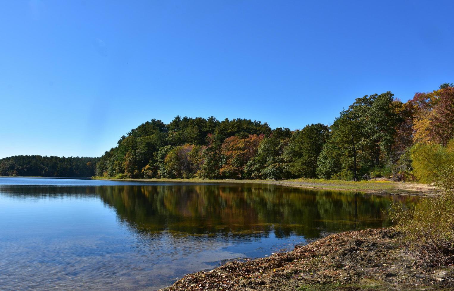 bel fogliame che circonda un lago in autunno foto