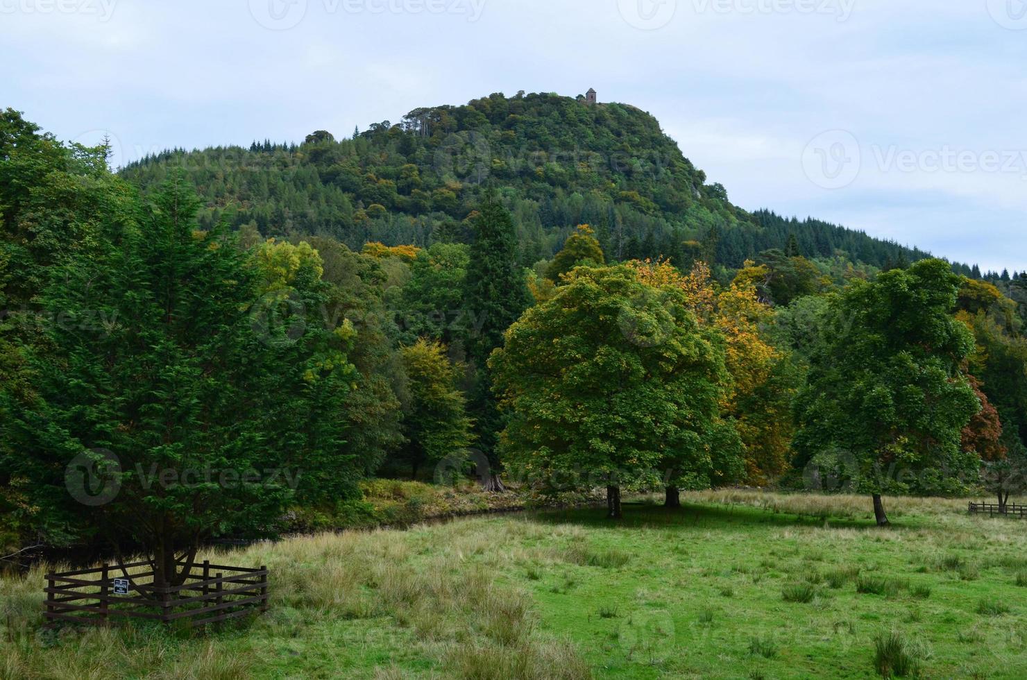 bella vegetazione lussureggiante nella campagna della Scozia foto