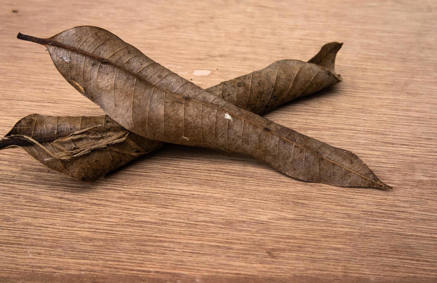 foto ravvicinata di un mazzo di foglie di mango essiccate isolate sullo sfondo su una tavola di legno