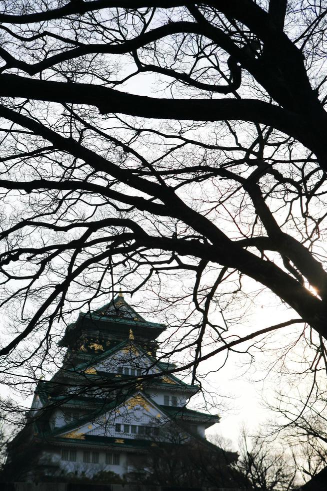 castello di osaka a osaka, giappone foto