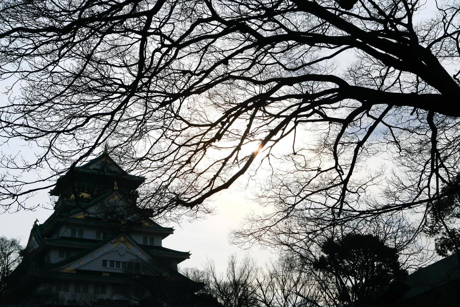 castello di osaka a osaka, giappone foto