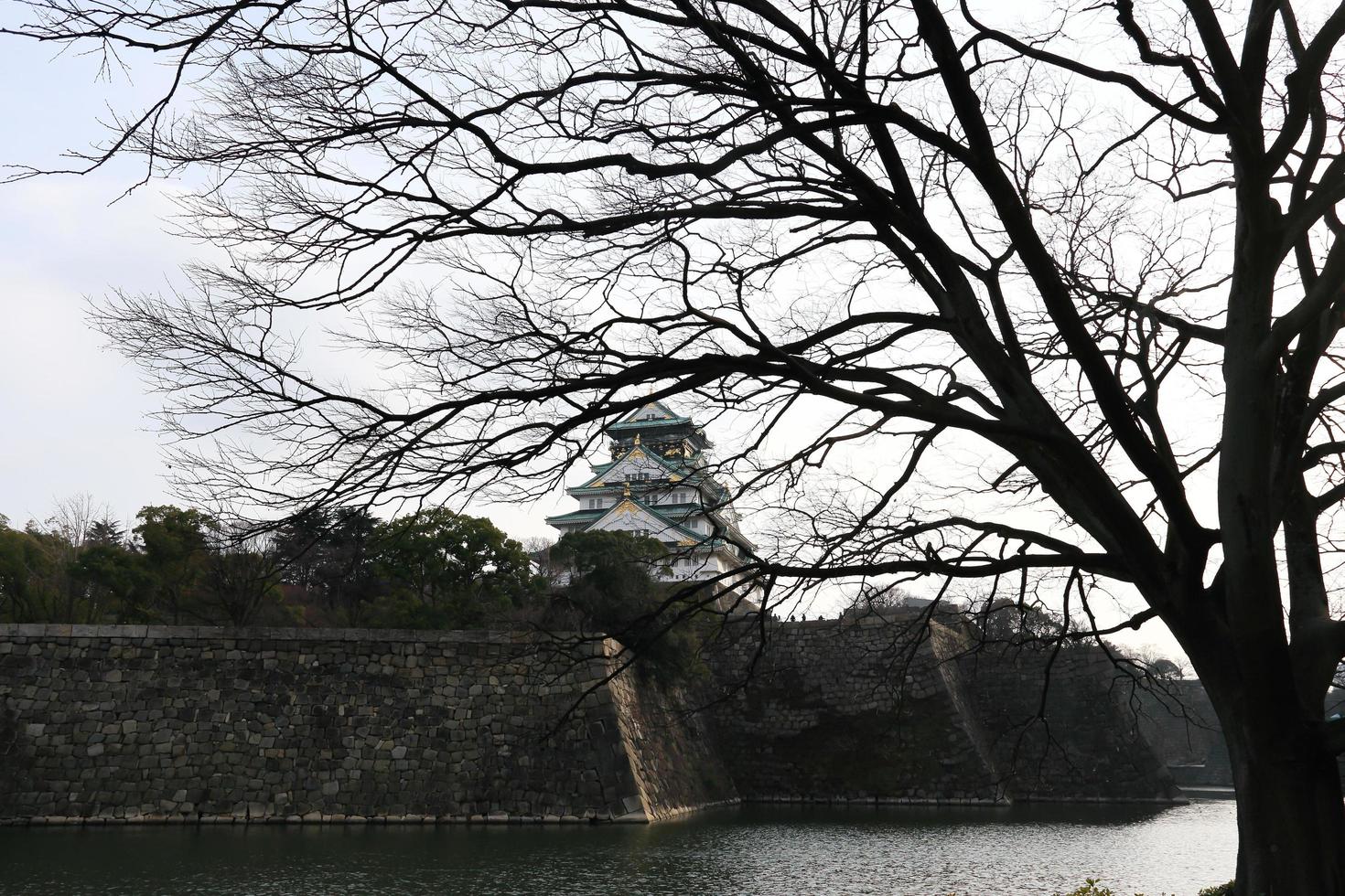 castello di osaka a osaka, giappone foto