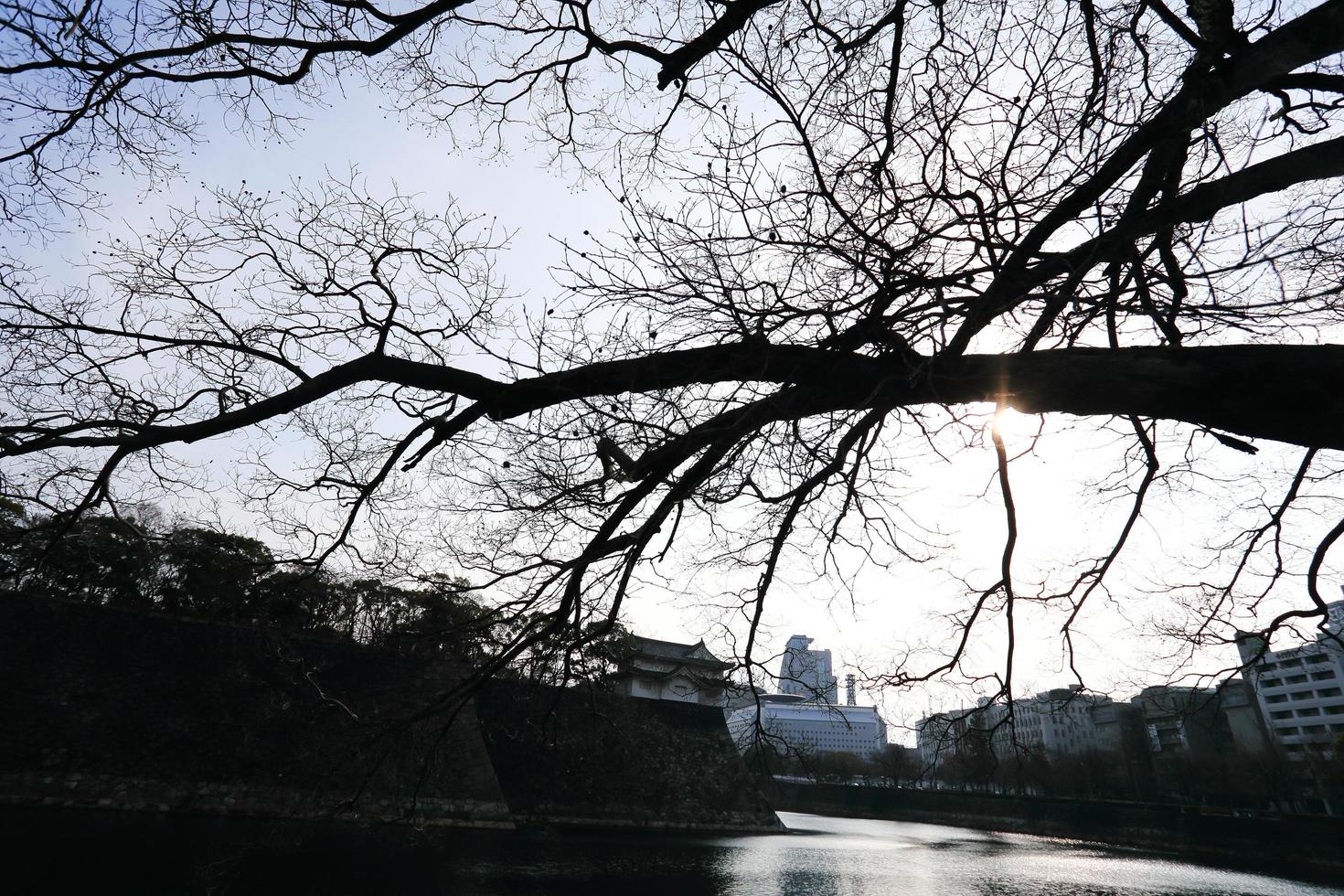 un fossato che circonda il castello di osaka in giappone, inverno foto