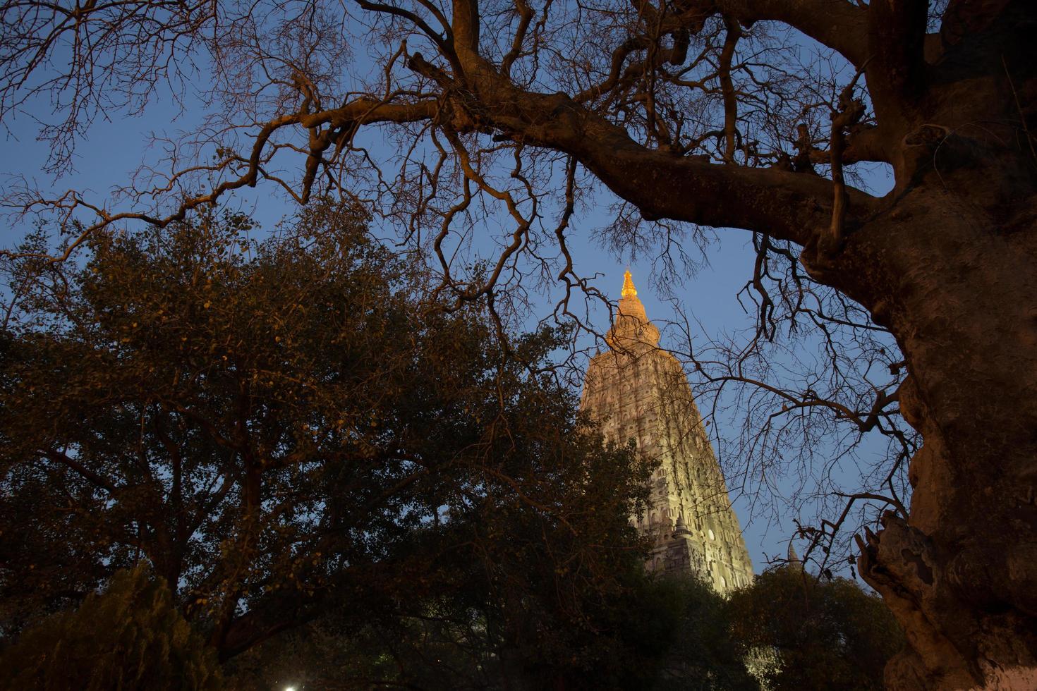 tempio mahabodhi, bodh gaya, india foto