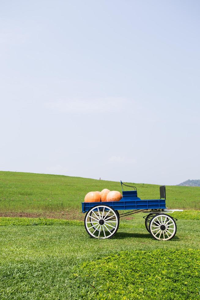 carro pieno di zucche in fattoria foto