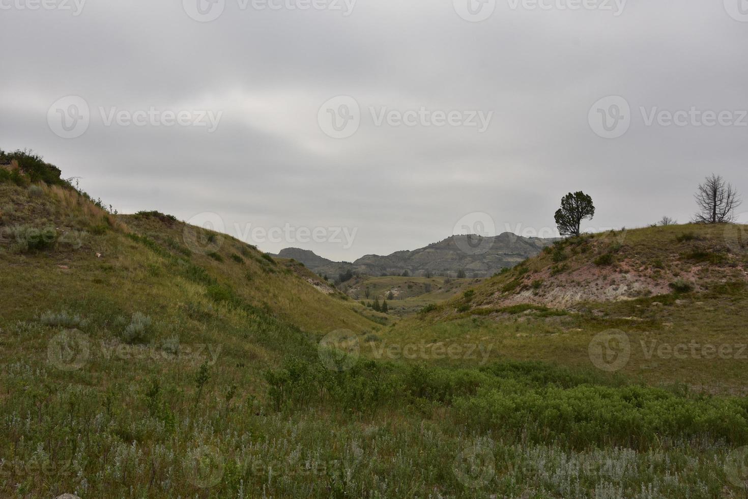 scenico all'aperto con un paesaggio aspro e rurale foto