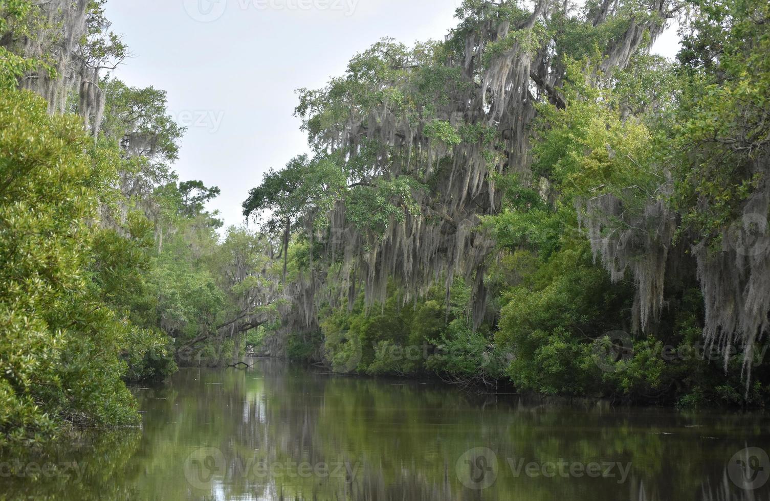 navigare nelle strette vie d'acqua del bayou foto