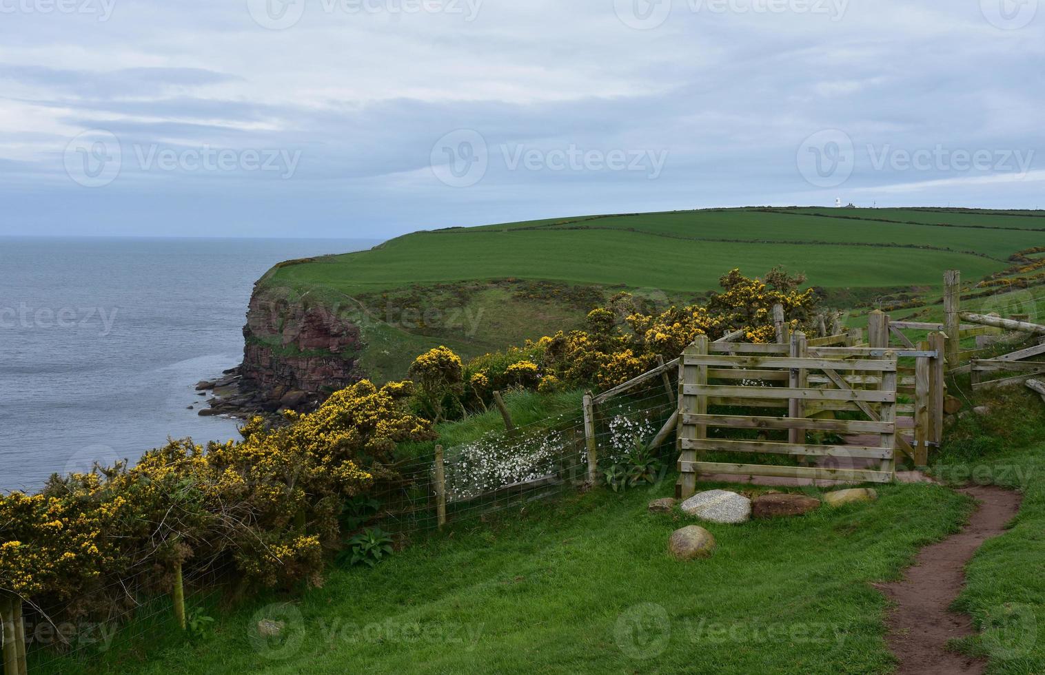 splendide scogliere sul mare e sentiero lungo la costa di St Bees foto