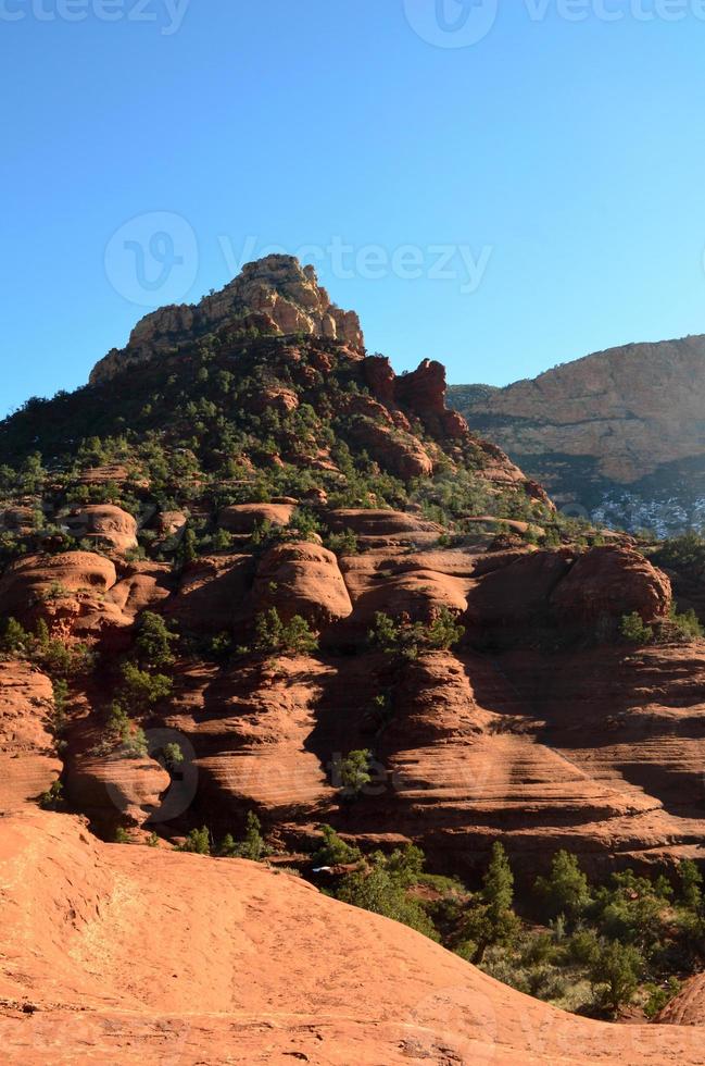 alberi e macchia che crescono sulla formazione rocciosa rossa foto