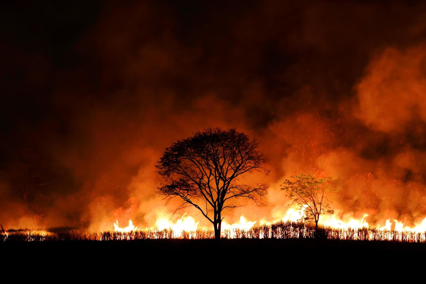 incendi boschivi che bruciavano fumo arancione e rosso riempivano il cielo di notte. foto