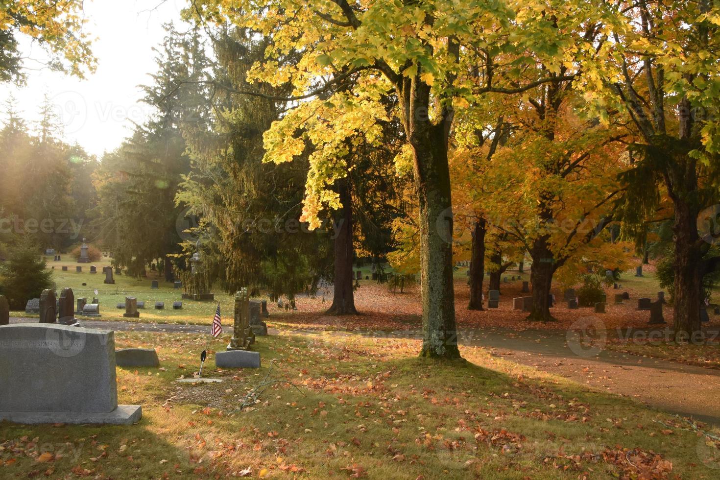 autunno in un cimitero con foglie che cambiano colore foto