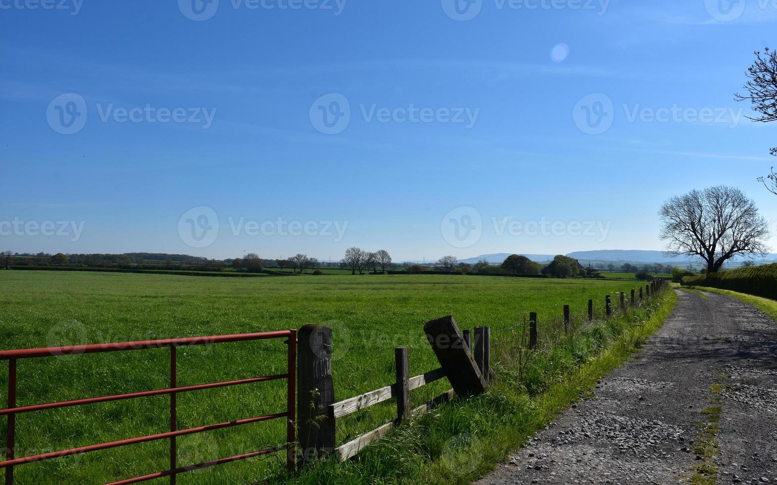 sentiero sterrato e strada accanto a un grande campo in erba foto