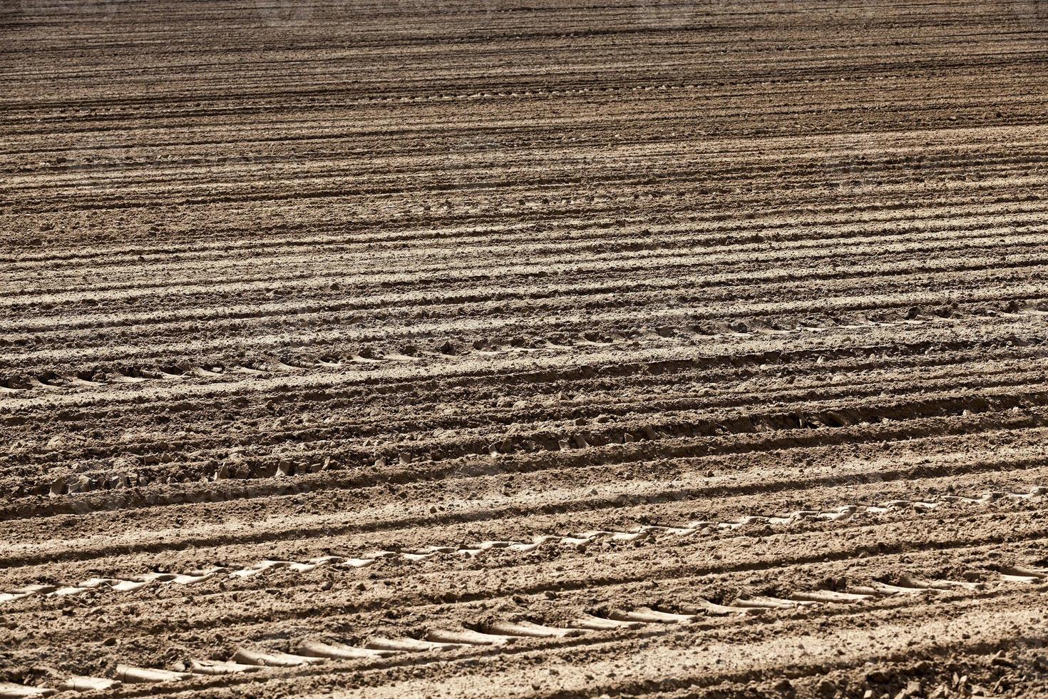 terreno agricolo arato foto