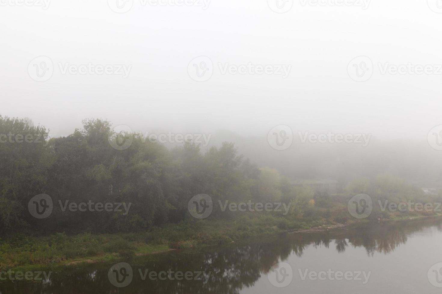 nebbia, primo piano foto