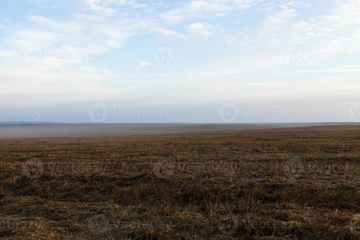 taglia vapore e cielo foto