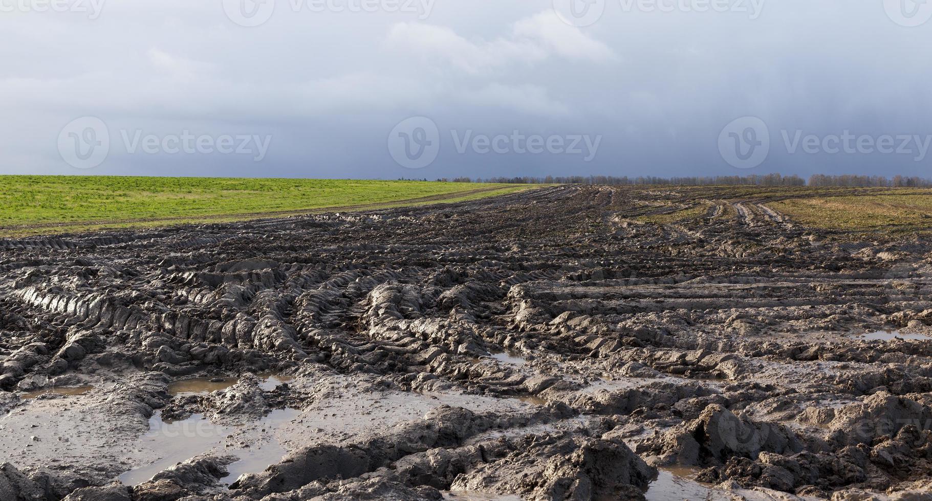 strada sporca in un campo foto