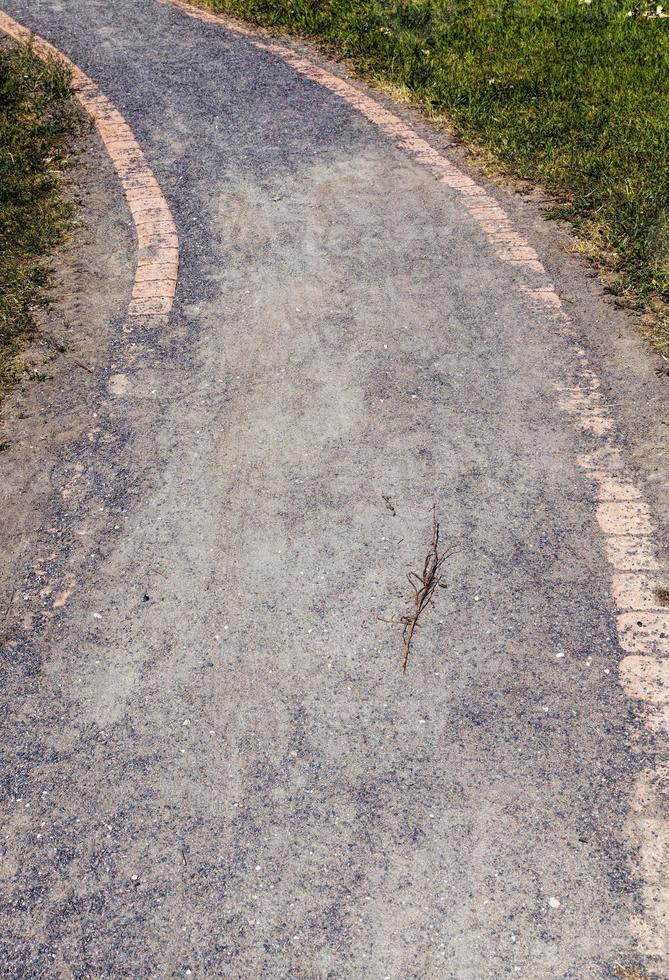 strada in una zona rurale foto