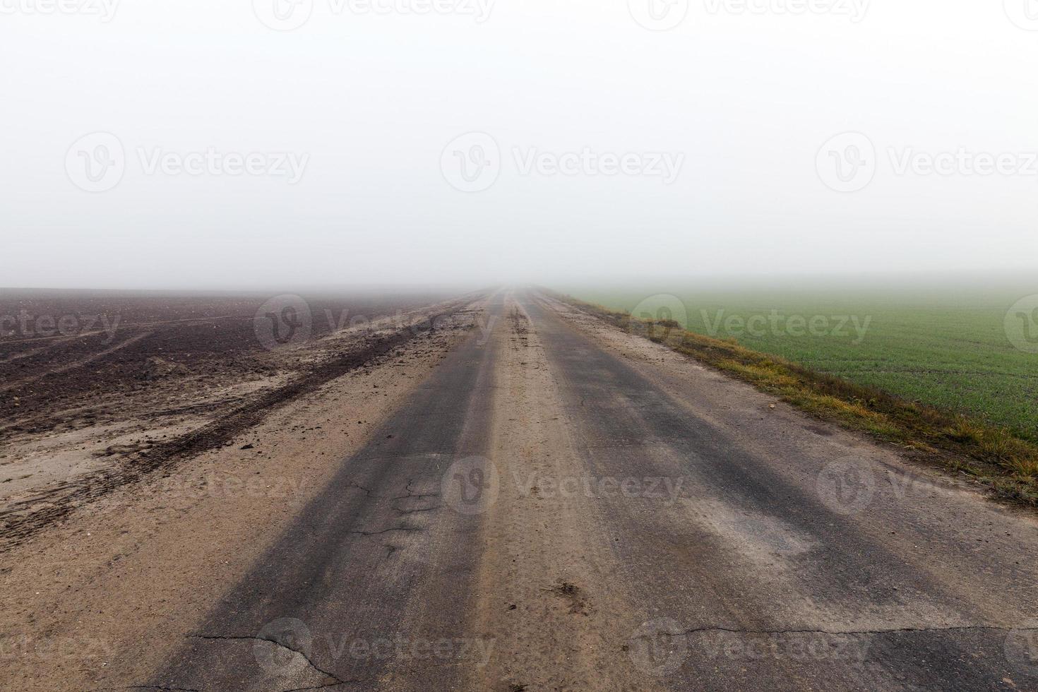 strada asfaltata, autunno e nebbia foto