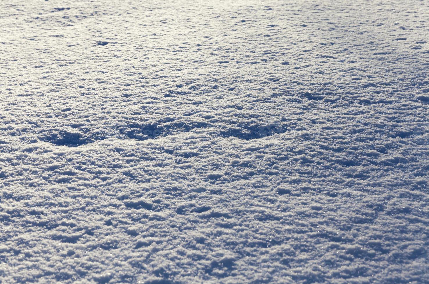neve soffice ma ghiacciata caduta durante la nevicata foto