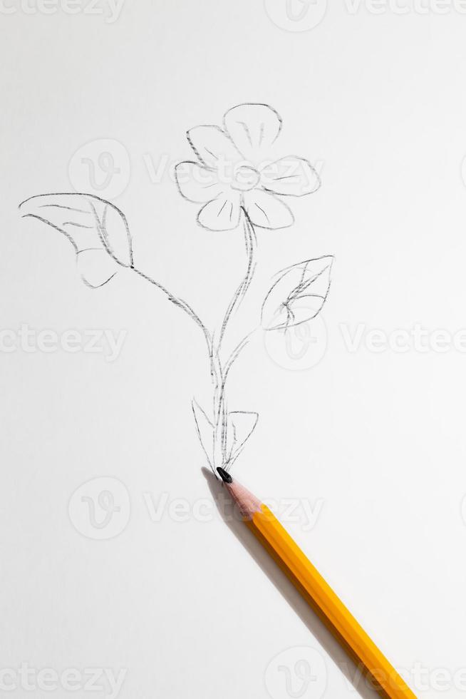 un fiore disegnato foto