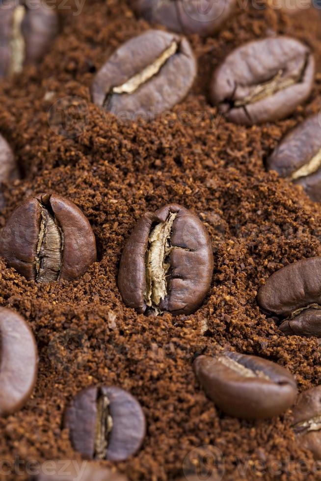 primo piano di chicchi di caffè per fare una vera bevanda foto