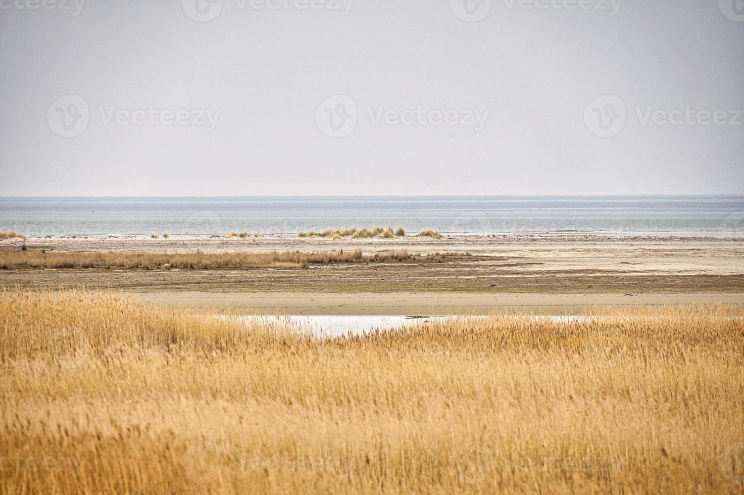 pramort di avvistamento degli uccelli sui darss. ampio paesaggio con vista sul bodden e sul mar baltico. foto