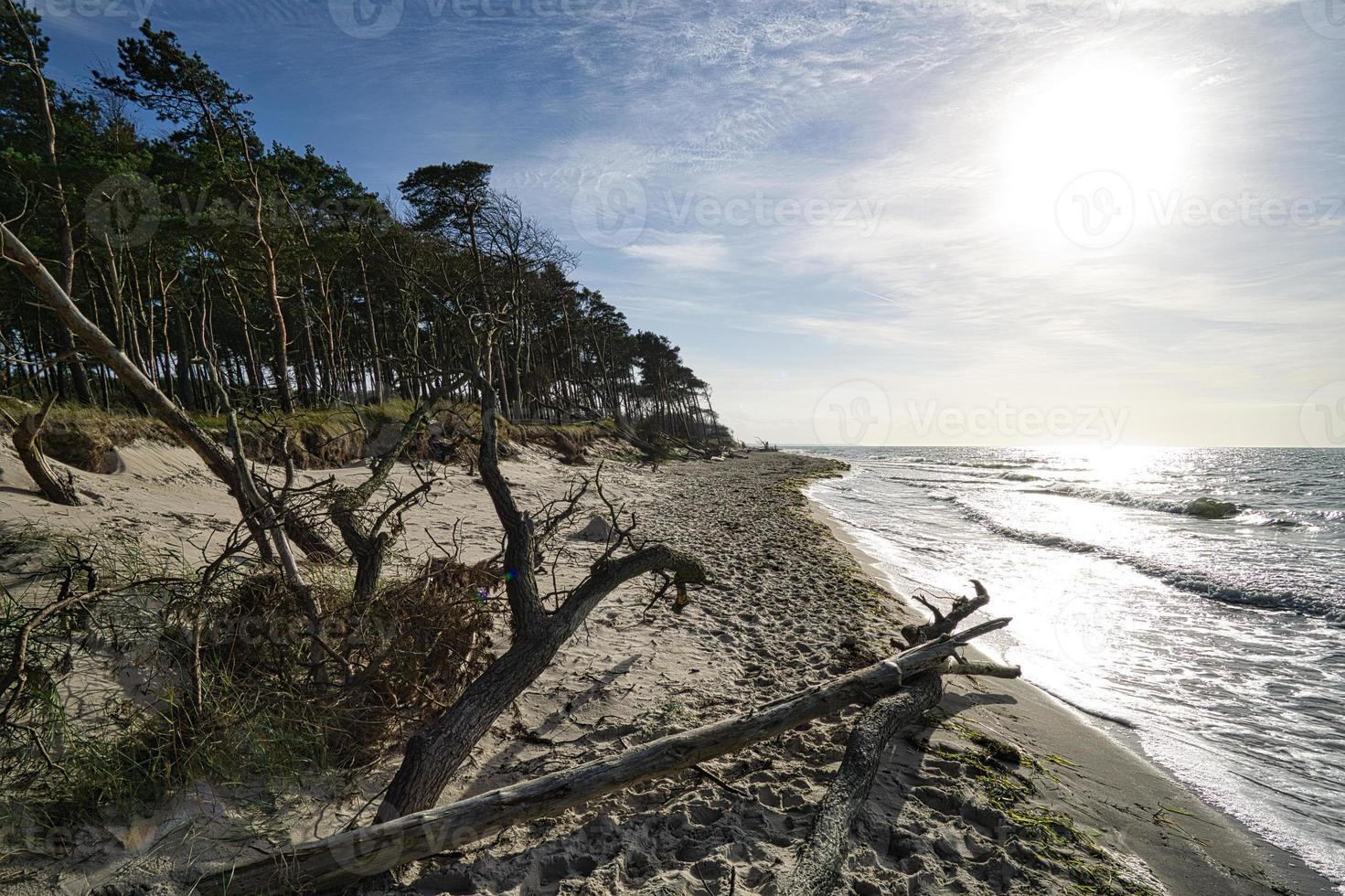 spiaggia occidentale sulla spiaggia del Mar Baltico. natura morta dettagliata e strutturata. foto