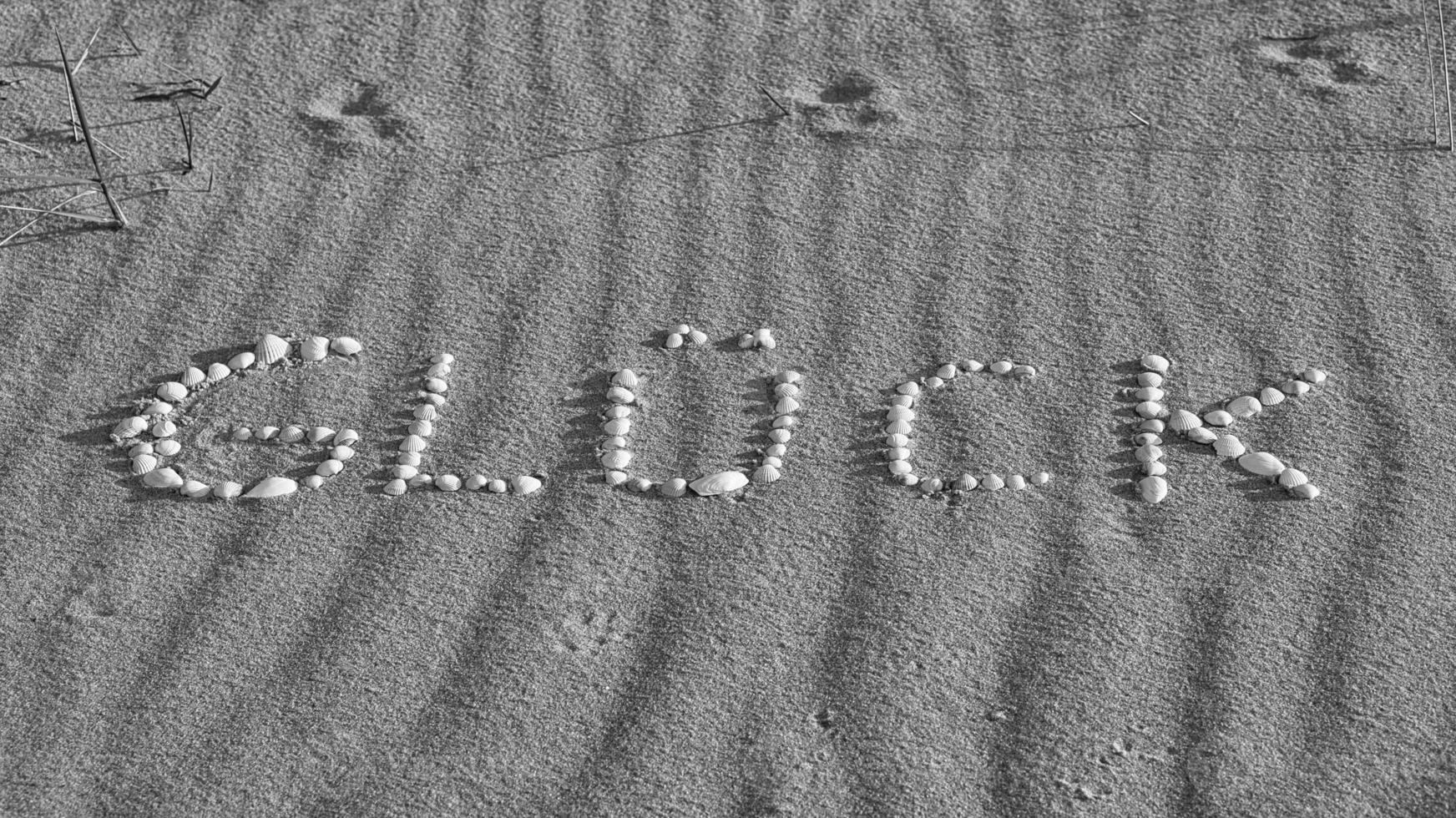 con conchiglie deposte felicità simbolo sulla spiaggia del mar baltico nella sabbia foto