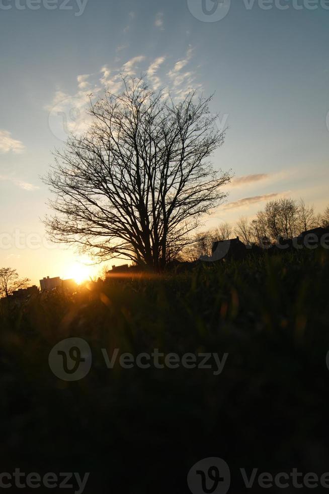 sole che tramonta alla periferia di berlino. il cielo sembra bruciare foto