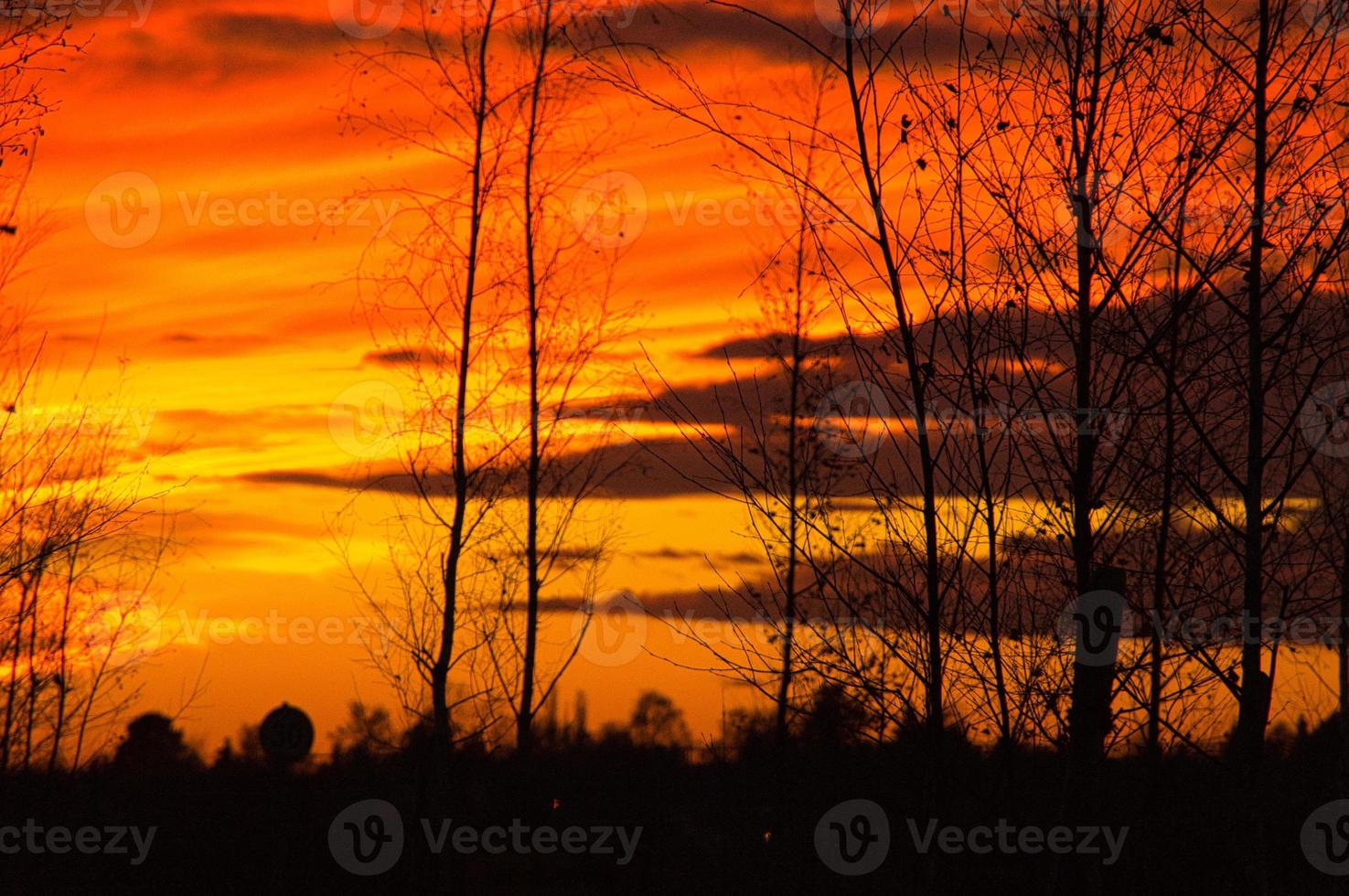 tramonto con cielo in fiamme dietro gli alberi. foto