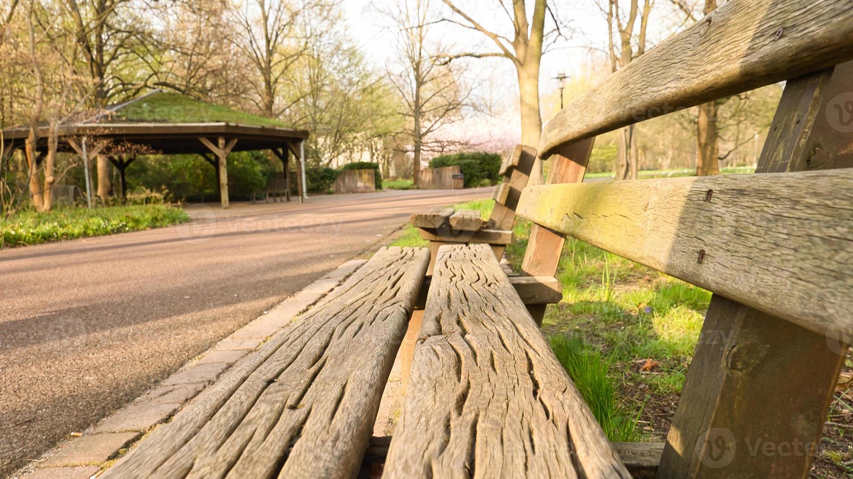 panchina nel parco. panca in legno. riposarsi dopo una passeggiata. foto natura