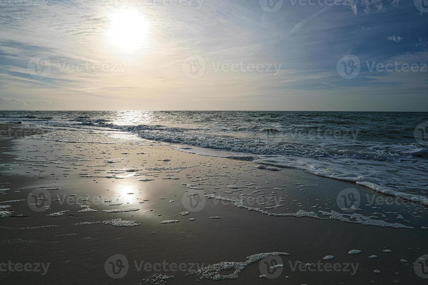 spiaggia occidentale sulla spiaggia del Mar Baltico. natura morta dettagliata e strutturata. foto