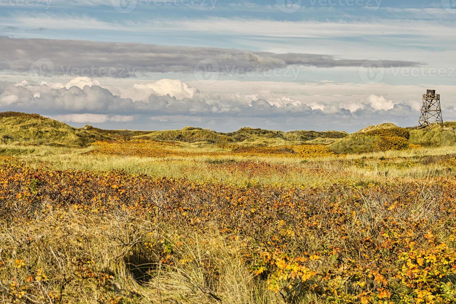 sulla costa di blavand danimarca. vista sulle dune foto