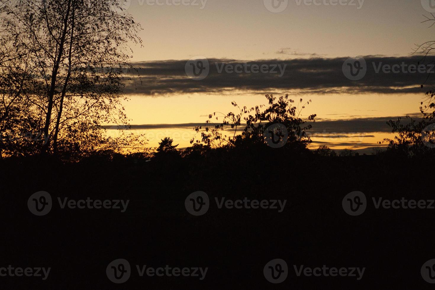 tramonto con cielo in fiamme dietro gli alberi. foto