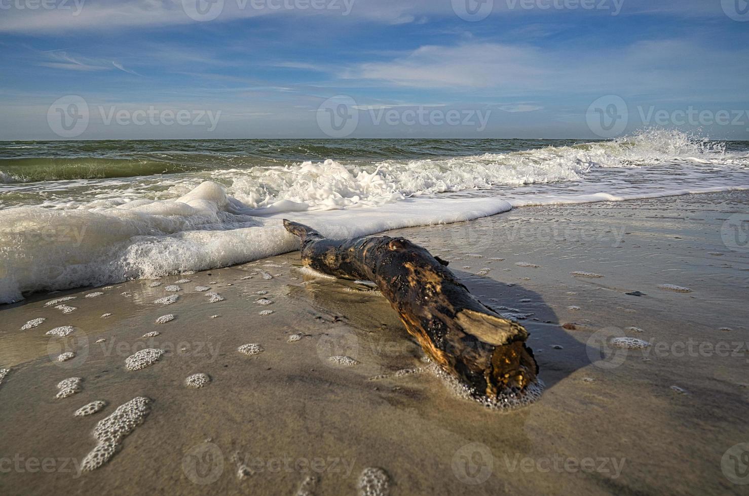 spiaggia occidentale sulla spiaggia del Mar Baltico. natura morta dettagliata e strutturata. foto